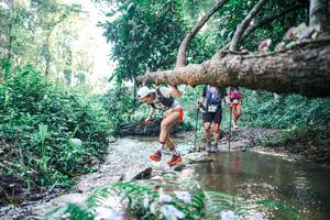 BIB: 
                            <button type="button" onclick="openModal(25434482)" class="btn btn-primary btn-sm float-right btn-popup" data-toggle="modal" data-target=".modal-high-quality">
                        <i class="fas fa-shopping-cart"></i> Add to Cart
                    </button>
                                            <button type="button" onclick="isThisMe(25434482, true)" class="btn btn-success btn-sm float-right btn-popup btn-isme hidden" data-toggle="tooltip" data-placement="bottom" title="นี่คือรูปของคุณใช่ไหม คลิกที่นี่เพื่อเอาเข้าอัลบั้ม">
                        <i class="fas fa-plus"></i> Add to album
                    </button>
                    <button type="button" onclick="isThisMe(25434482, false)" class="btn btn-warning btn-sm float-right btn-popup btn-isnotme hidden">
                        <i class="fas fa-ban"></i> Remove from album
                    </button>